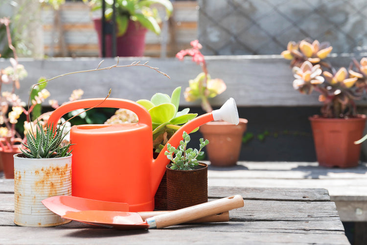 Garden & Outdoor
